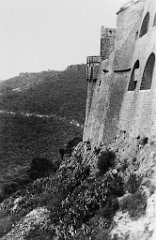ORAN 02413